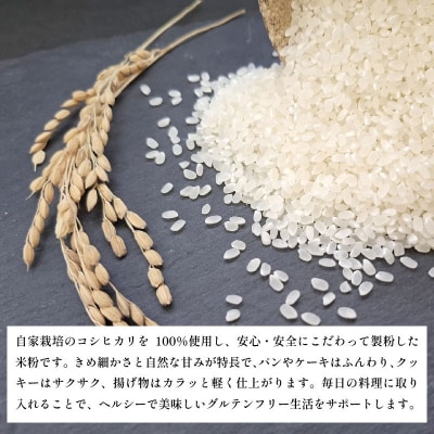 米粉 1kg(500g×2) 国産 溝木さんの米粉 小松島 グルテンフリー 米 パン お菓子 料理 