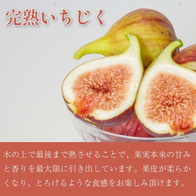 朝採れ 完熟 いちじく 1.6kg(400g×4パック) 甘い フルーツ 産地直送 デザート