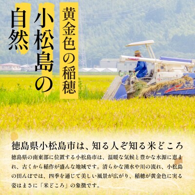 米 5kg 9月から順次発送 にじのきらめき 令和7年度産 コシヒカリ に匹敵