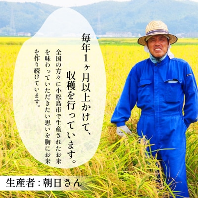 米 5kg 9月から順次発送 にじのきらめき 令和7年度産 コシヒカリ に匹敵