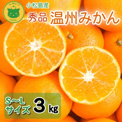【2025年11月順次発送】 みかん 秀品 温州みかん3kg 