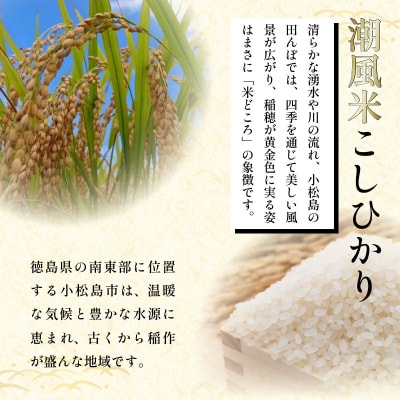 白米 こしひかり 5kg 令和7年産  潮風米