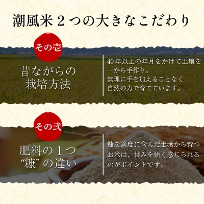 新米 玄米 こしひかり 5kg 令和8年産  潮風米