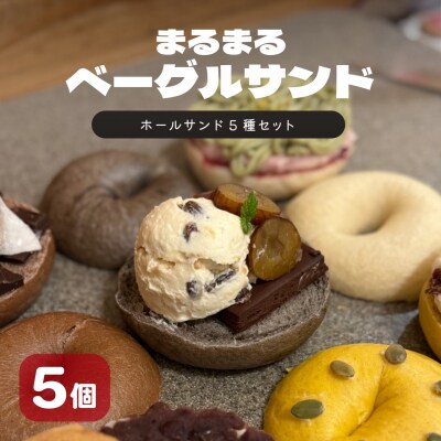 【2026年2月発送分】 ベーグル おまかせ 5種セット パン 冷凍 焼きたて もちもちベーグル