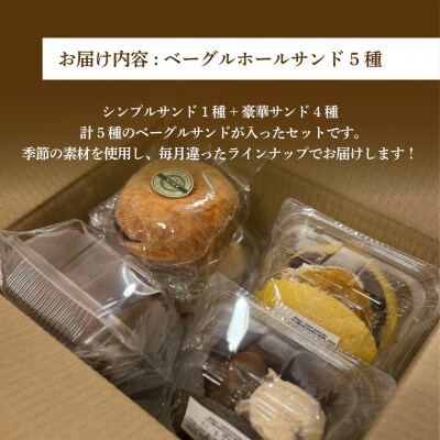 【2026年2月発送分】 ベーグル おまかせ 5種セット パン 冷凍 焼きたて もちもちベーグル