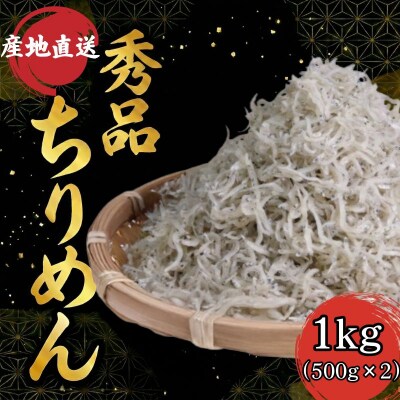 【秀品】ちりめん 1kg(500g×2) 冷蔵 国産 しらす ちりめんじゃこ
