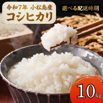 【配送時期が選べる】米 コシヒカリ 10kg 小松島市 令和7年産 精米 白米