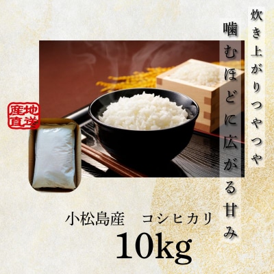 【配送時期が選べる】米 コシヒカリ 10kg 小松島市 令和7年産 精米 白米
