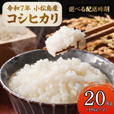 【配送時期が選べる】米 コシヒカリ 20kg 小松島市 令和7年産 精米 白米
