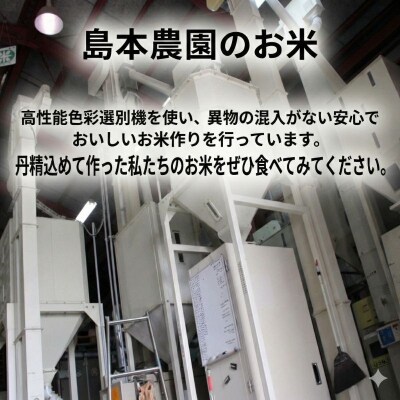 【配送時期が選べる】米 コシヒカリ 20kg 小松島市 令和7年産 精米 白米