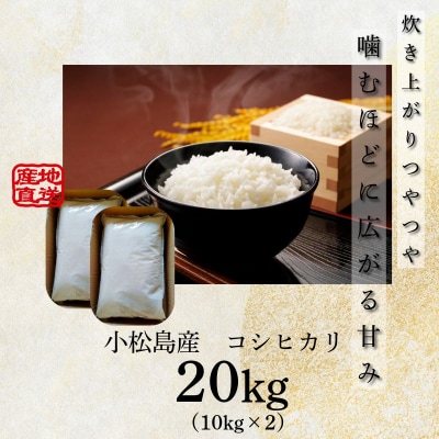 【配送時期が選べる】米 コシヒカリ 20kg 小松島市 令和7年産 精米 白米