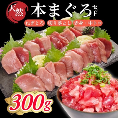天然本まぐろセット 300g(100g×3P) マグロ 本まぐろ 中とろ ネギトロ