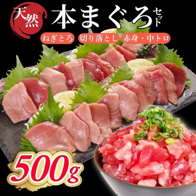 天然本まぐろセット 500g(100g×5P) マグロ 本まぐろ 中とろ ネギトロ