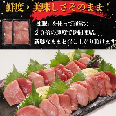 天然本まぐろセット 500g(100g×5P) マグロ 本まぐろ 中とろ ネギトロ