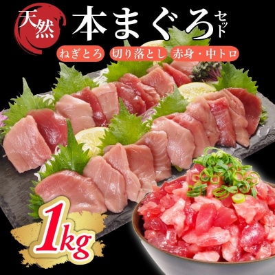 天然本まぐろセット 1kg(100g×10P) マグロ 本まぐろ 中とろ ネギトロ