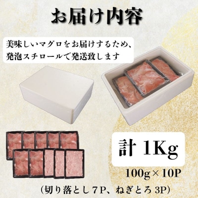 天然本まぐろセット 1kg(100g×10P) マグロ 本まぐろ 中とろ ネギトロ
