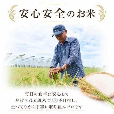 令和7年産 コシヒカリ 5kg 白米 米 数量 限定 こしひかり 5キロ 米5kg 