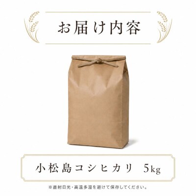 令和7年産 コシヒカリ 5kg 白米 米 数量 限定 こしひかり 5キロ 米5kg 
