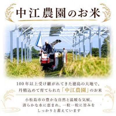 令和7年産 コシヒカリ 10kg 白米 米 数量 限定 こしひかり 10キロ 米10kg