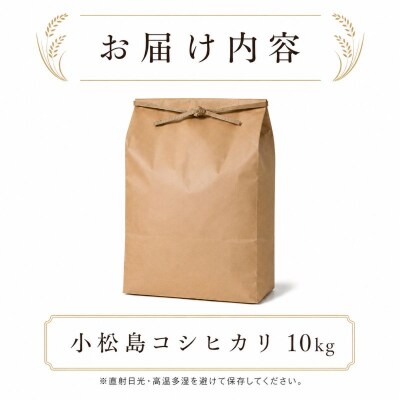 令和7年産 コシヒカリ 10kg 白米 米 数量 限定 こしひかり 10キロ 米10kg
