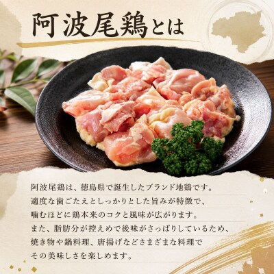 【阿波尾鶏】スパイスチキン 2kg ブランド地鶏 鶏肉 揚げるだけ 簡単調理 小松島市