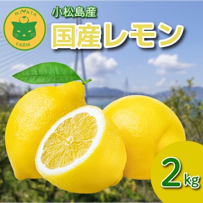 【2026年11月発送】レモン 2kg 秀品  国産 レモン れもん ワックス不使用 防腐剤不使用