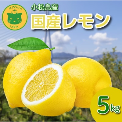 【2026年11月発送】レモン 5kg 秀品  国産 レモン れもん ワックス不使用 防腐剤不使用