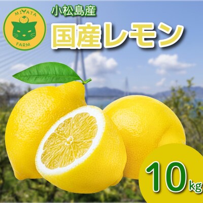 【2026年11月発送】レモン 10kg 秀品 国産 レモン れもん ワックス不使用 防腐剤使用