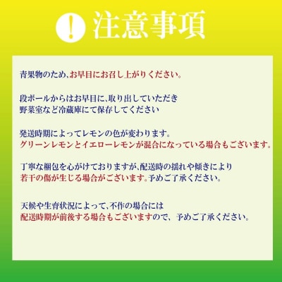 【2026年12月発送】レモン 2kg 秀品  国産 レモン れもん ワックス不使用 防腐剤不使用