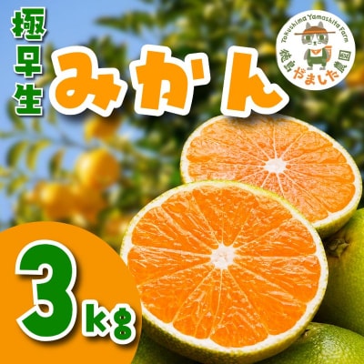 【先行予約】 【2026年10月順次発送】 極早生みかん 3kg みかん 温州みかん 極早生 柑橘 