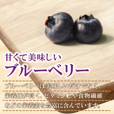 訳あり ブルーベリー 冷凍 2kg 大粒 冷凍ブルーベリー フルーツ 人気 果物 おすすめ フルーツ