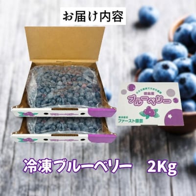 訳あり ブルーベリー 冷凍 2kg 大粒 冷凍ブルーベリー フルーツ 人気 果物 おすすめ フルーツ