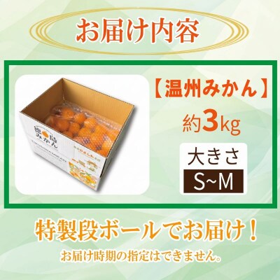 【先行予約】 【2026年12月順次発送】 温州みかん 3kg みかん  完熟 柑橘 果物 フルーツ
