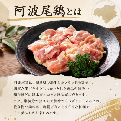 【阿波尾鶏】スパイスチキン 3kg ブランド地鶏 鶏肉 揚げるだけ 簡単調理 小松島市
