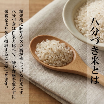 令和7年産 米 八分づき米 5kg 栽培期間中農薬不使用 米 玄米 お米 コメ こしひかり 