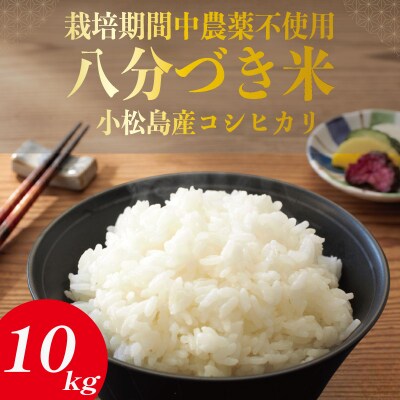 令和7年産 米 八分づき米 10kg 栽培期間中農薬不使用 米 玄米 お米 コメ こしひかり
