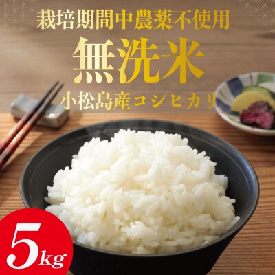 令和7年産 無洗米 5kg 栽培期間中農薬不使用 米 白米 お米 コメ こしひかり コシヒカリ