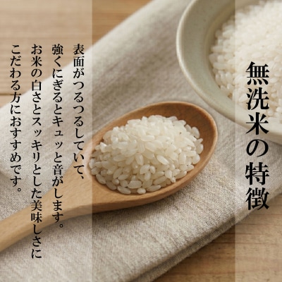 令和7年産 無洗米 10kg 栽培期間中農薬不使用 米 白米 お米 コメ こしひかり コシヒカリ