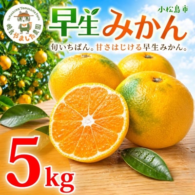 【先行予約】 【2026年10月下旬順次発送】 早生みかん 5kg みかん 早生 柑橘 果物 