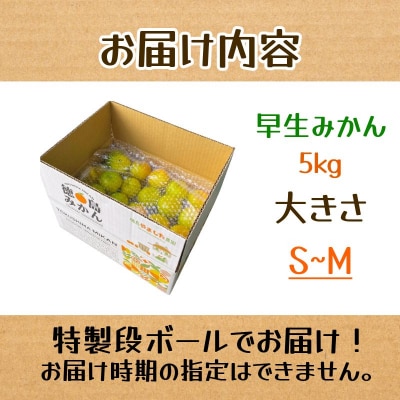 【先行予約】 【2026年10月下旬順次発送】 早生みかん 5kg みかん 早生 柑橘 果物 