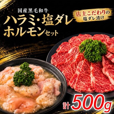 国産黒毛和牛 ハラミ・塩ダレホルモンセット計500g 肉 国産 阿波牛 ハラミ 小腸 塩だれ BBQ