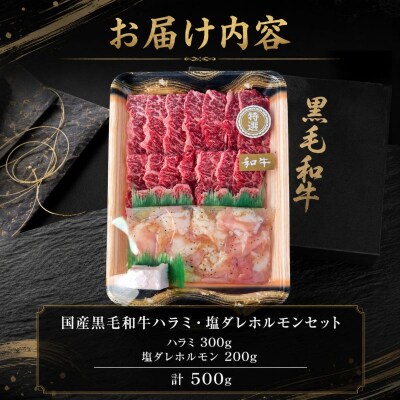 国産黒毛和牛 ハラミ・塩ダレホルモンセット計500g 肉 国産 阿波牛 ハラミ 小腸 塩だれ BBQ