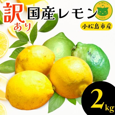 【2026年12月発送】訳ありレモン2kg　国産 レモン 檸檬 れもん ワックス不使用 防腐剤不使用