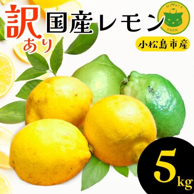 【2026年11月発送】訳ありレモン5kg　国産 レモン 檸檬 れもん ワックス不使用 防腐剤不使用