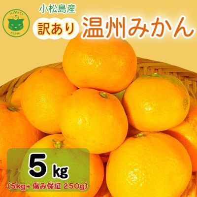 【2026年12月発送】訳あり みかん 温州みかん5kg(5kg+傷み保証250g)