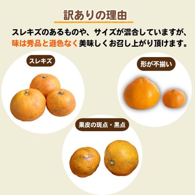 【2026年12月発送】訳あり みかん 温州みかん5kg(5kg+傷み保証250g)