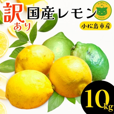 【2026年12月発送】訳ありレモン10kg　国産 レモン　 れもん ワックス不使用 防腐剤不使用
