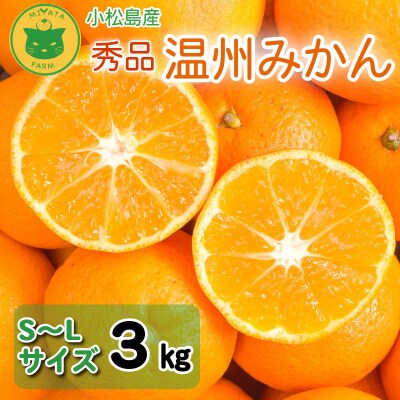 【2026年11月発送】 みかん 秀品 温州みかん3kg