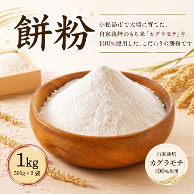 もち粉 溝木さんの餅粉 1kg(500g×2袋) グルテンフリー お正月 餅 小松島市