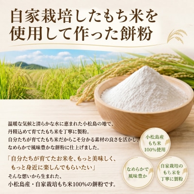 もち粉 溝木さんの餅粉 1kg(500g×2袋) グルテンフリー お正月 餅 小松島市